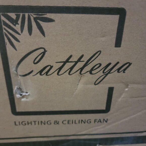 LED Light Fixture/Chandlier - Picture 5 of 6